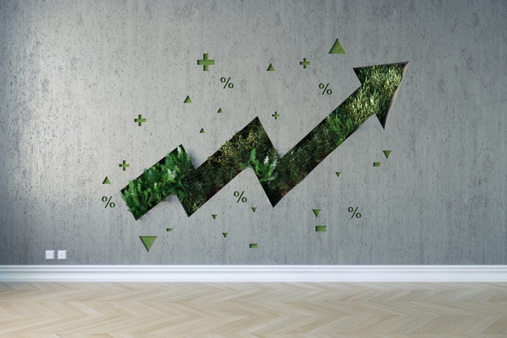 Conversion Rate Optimization