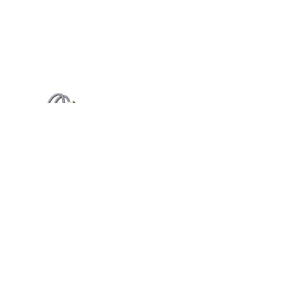 Shopify Partner