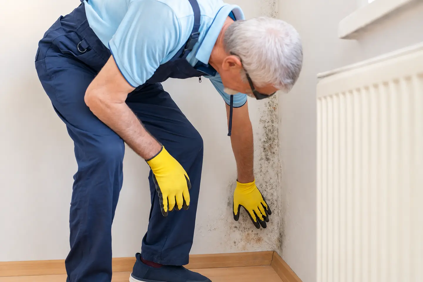 Phoenix First Restorations technician inspecting mould damage
