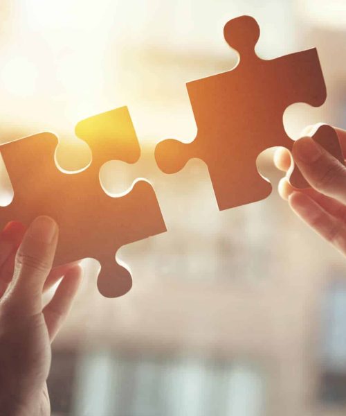 lionheart-psychology-2